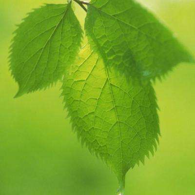 365平台下载app下载