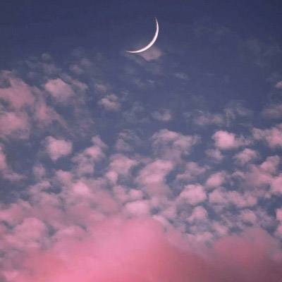 开云APP官方下载