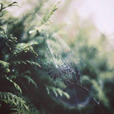 亚星娱乐网下载手机版截图