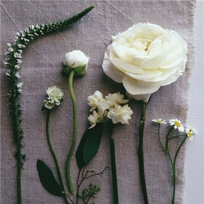 万博max体育注册